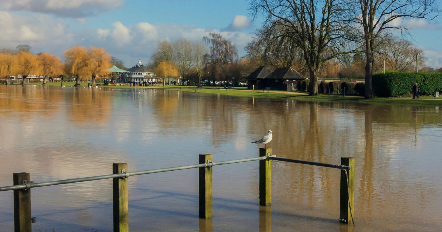 Flood Relief Scheme &ndash; reminder