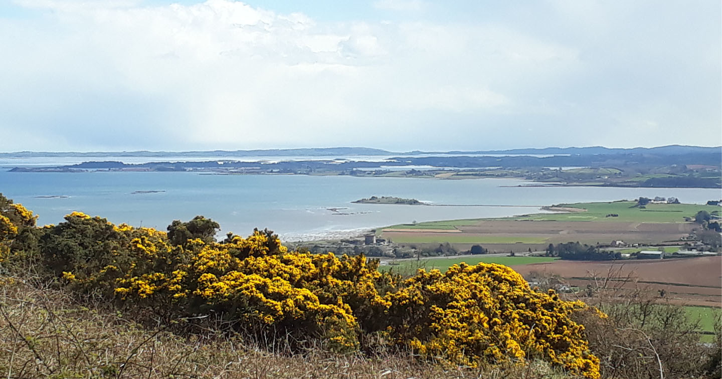 Strangford Lough from Scrabo, Co. Down.