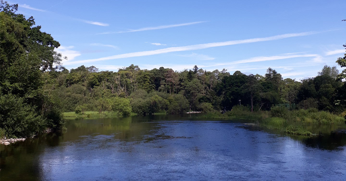 A forested lake viewed from the path to Ashford Castle, Cong, Co, Mayo.