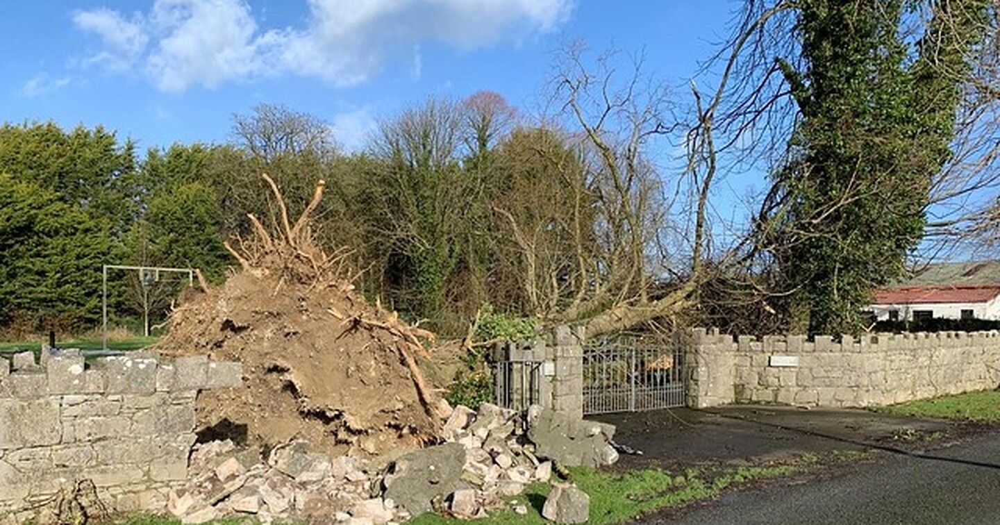 Cashel, Ferns and Ossory &ndash; Durrow Graveyard, Co. Offaly a tree fell causing damaging the churchyard boundary wall &ndash; Canon Isaac Delamere.