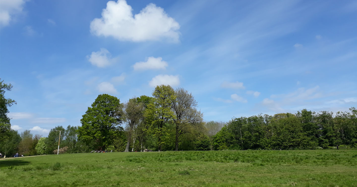 Orangefield Park, East Belfast.