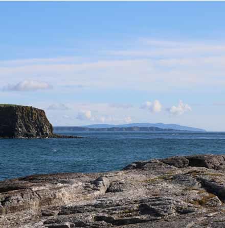 News from Eco&ndash;Congregation Ireland