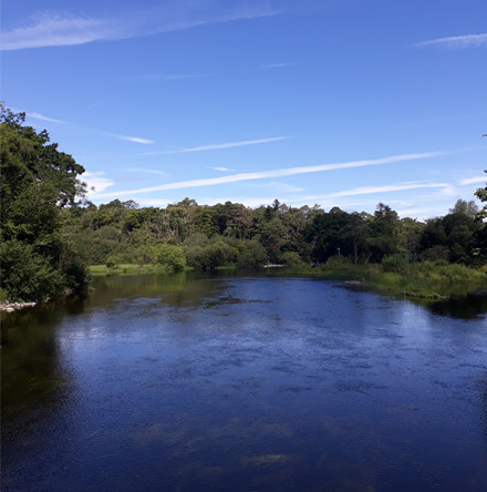 News from Eco&ndash;Congregation Ireland