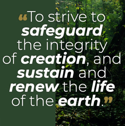 Environmental insights: Forest puts down roots