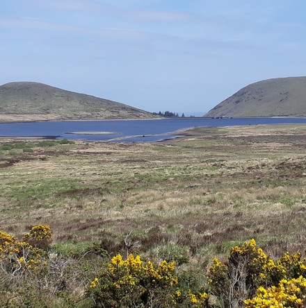 News from Eco&ndash;Congregation Ireland