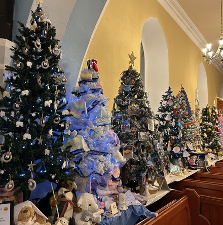 Joint Christmas message from Bishop Ian Ellis and Bishop Larry Duffy of Clogher Diocese - &lsquo;&hellip;in him was life and the life was the light of all people&rsquo; John 1v4