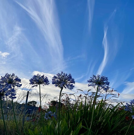 Peace with Creation - European church leaders promote Season of Creation (1st September &ndash; 4th October)