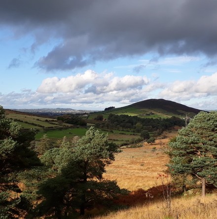 News from Eco&ndash;Congregation Ireland