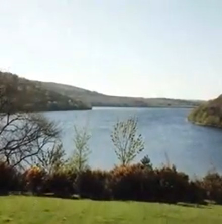 Caring for the environment in Mullingar