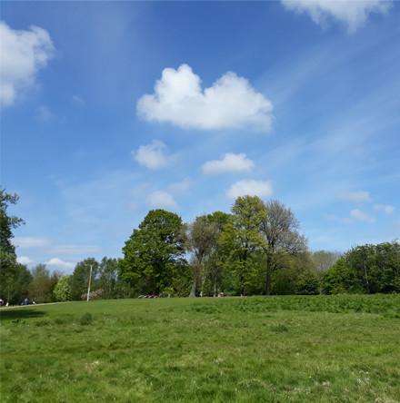 News from Eco&ndash;Congregation Ireland