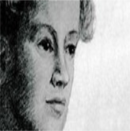 Rosamond Stephen&rsquo;s Civil War