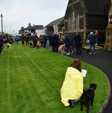 Pet Blessing Service in Castlerock