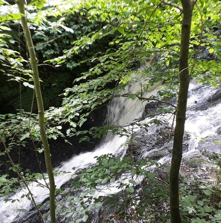 News from Eco&ndash;Congregation Ireland