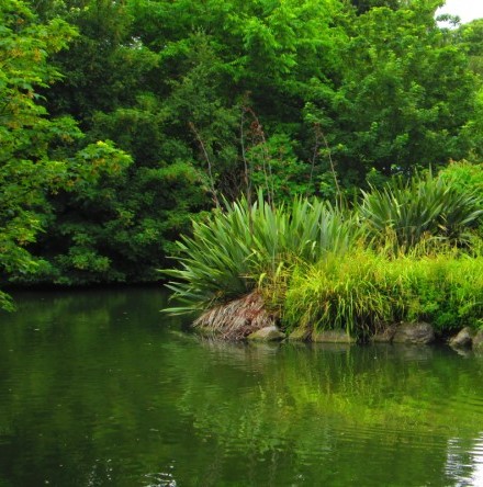 News from Eco&ndash;Congregation Ireland