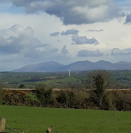 News from Eco&ndash;Congregation Ireland