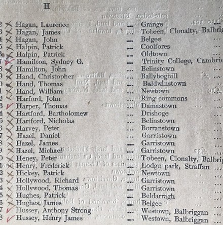 Polling District of Naul, Copy of the Register: A glimpse of the political situation in a rural town in the mid&ndash;1890s.