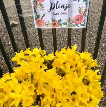 Mothering Sunday flowers and blessings at gates of Cork churches