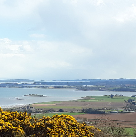 News from Eco&ndash;Congregation Ireland