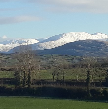 News from Eco&ndash;Congregation Ireland