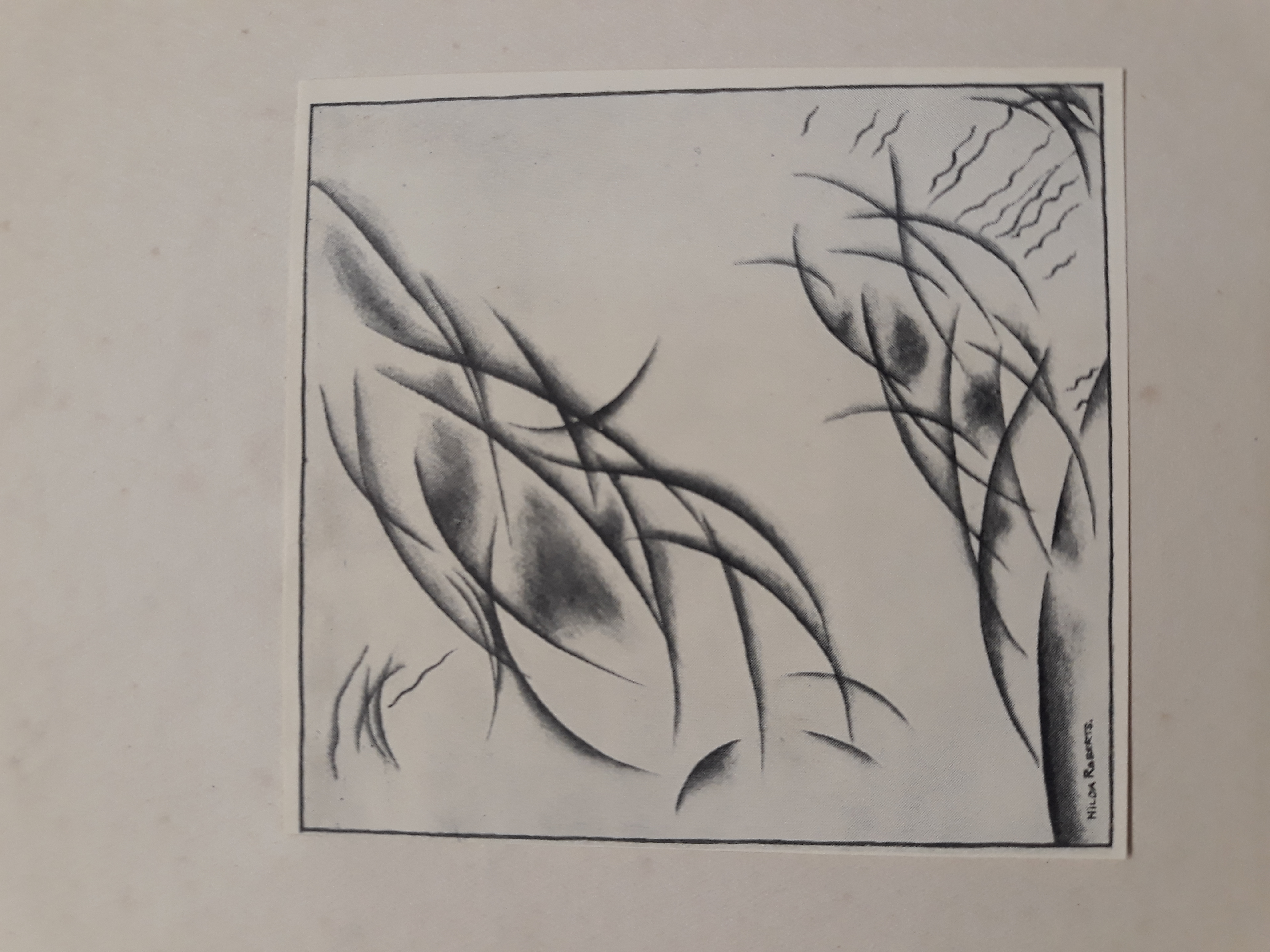 The bookplate featuring an image by Hilda Roberts that appears in the title by John Lyle Donaghy.