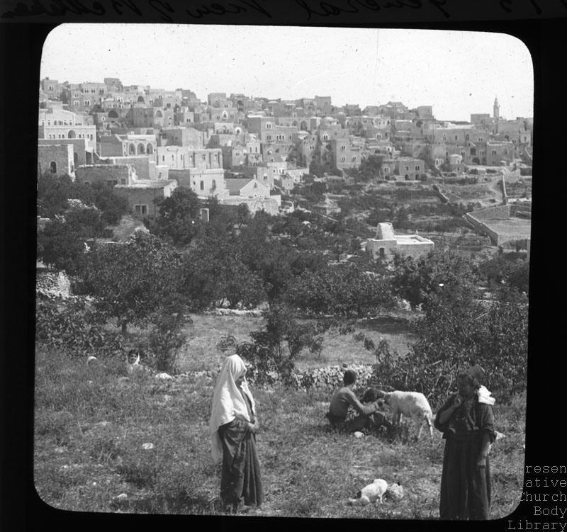 'General view of Bethlehem' [with locals in the foreground attending their goats in olive field]