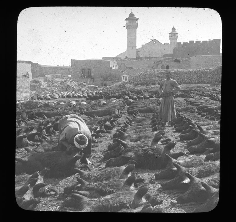 Native tannery, Hebron