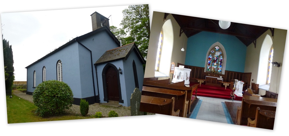 Killea collage