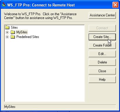 WS-FTP1