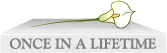 Once in a Lifetime Series logo