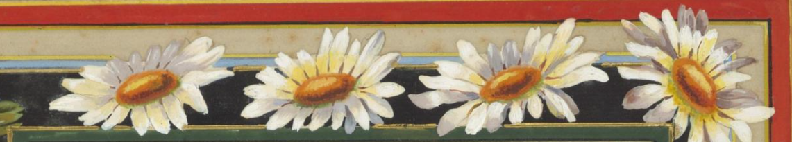 Figure 10: Close up detail of the floral motifs - Daisies (RCB Library - MS1189)