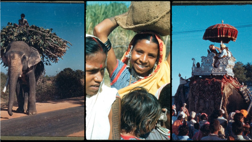 Figure 8. Selection of slides taken by Elizabeth in Chota Nagpur - MS 1182.3 Slide Collection.