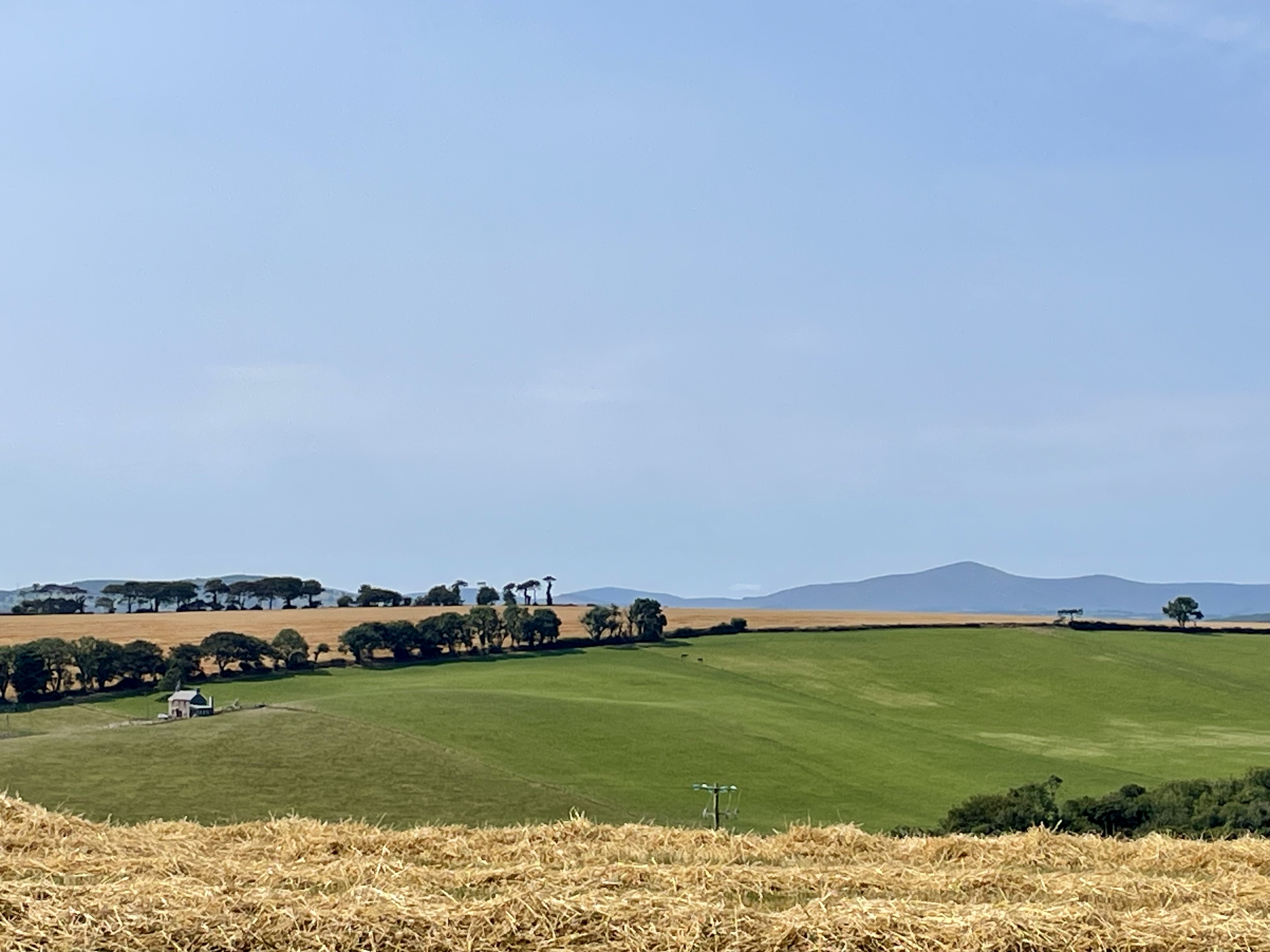 Harvest in Wicklow. Photo credit: Lynn Glanville.