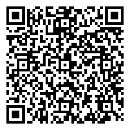 QR code for 2025 Belfast Black Santa Appeal.