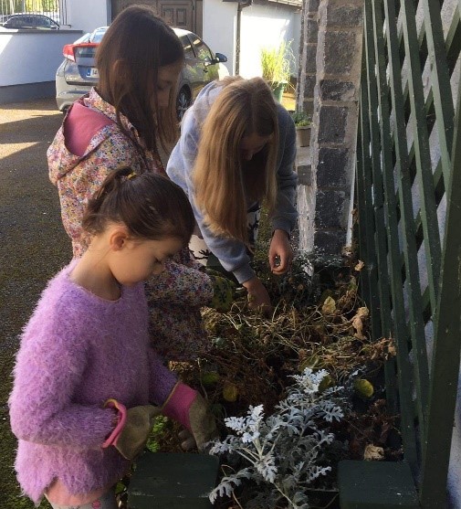 Saving seed at Carlow Sunday Club.