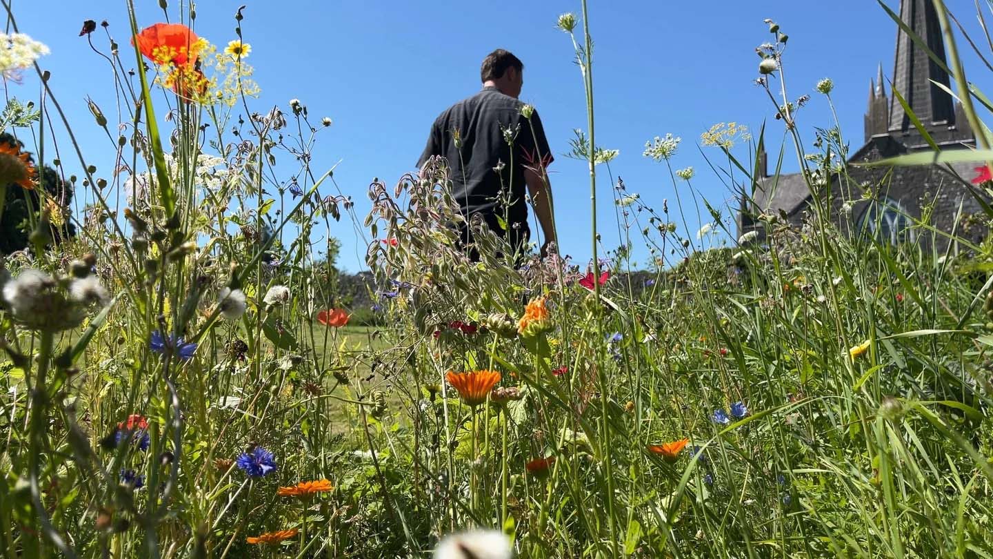 A stroll in Aughrim's Climate Action Park. Photo credit: RT&Eacute;.
